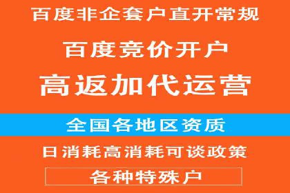 竞价广告在XX行业的成功应用案例